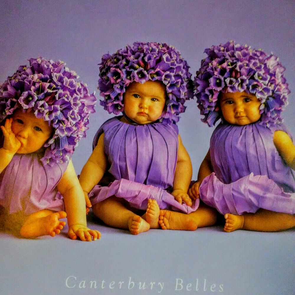Babies Anne Bedded Down in the Garden Huge Book